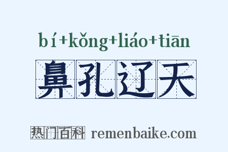 鼻孔辽天是什么意思的图片